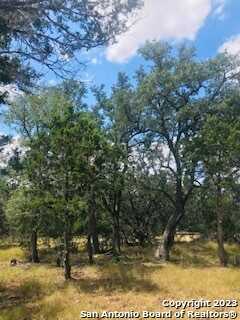 26 Mustang Crossing Dr, Pipe Creek, TX 78063