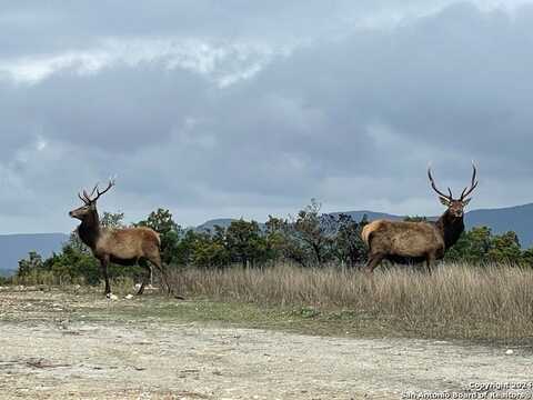 Lot 78 Oryx St., Pipe Creek, TX 78063