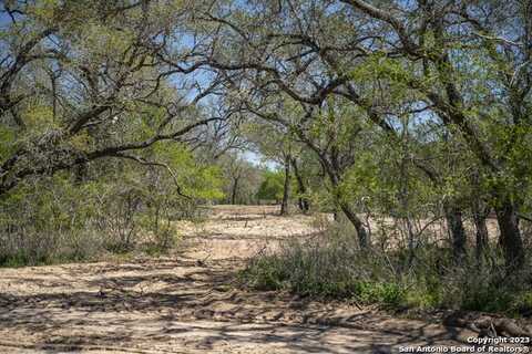 2703 County Road 770, Natalia, TX 78059