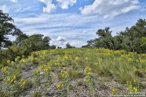 22977 Stallion Ridge, San Antonio, TX 78255