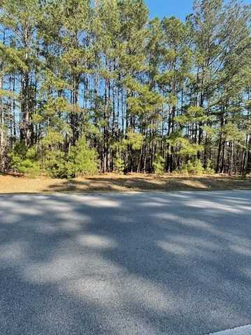 TBD MW Rickenbaker Rd., Summerton, SC 29148