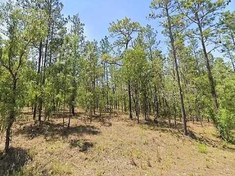0 NW Tree Top #9 Road, Dunnellon, FL 34431