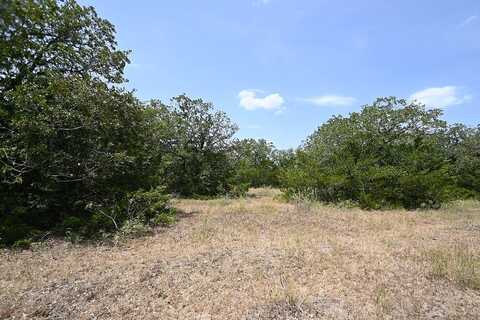 1345-3 Davis Road, Muldoon, TX 78949