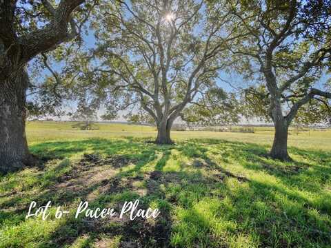 TBD 6 Pacen Place, Chappell Hill, TX 77426