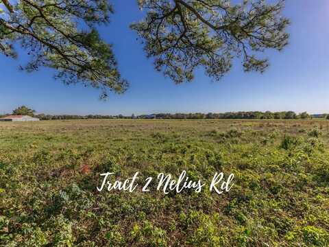 TBD 2 Nelius Road, Bellville, TX 77418