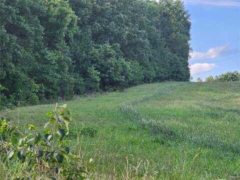 16185 Brown Road, Elk Creek, MO 65464