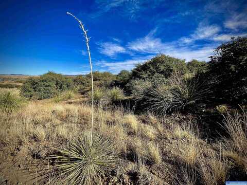 Lot 3 Broken Bow, Silver City, NM 88061