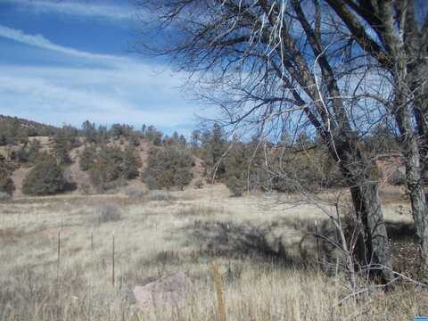 Lot 2a Hwy 15, Lake Roberts, NM 88049