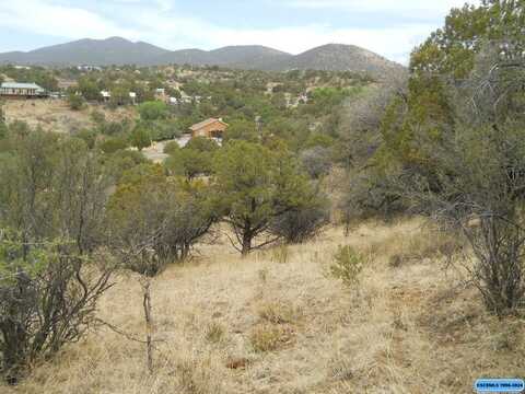 undefined, Silver City, NM 88061