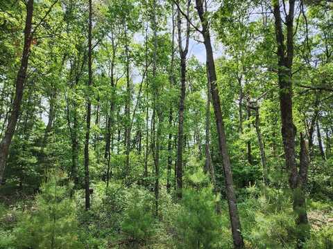 Lot 11 W 17th Drive, Arkdale, WI 54613