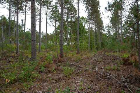 Lot 2 Bollig Court, Nekoosa, WI 54457