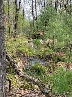 120 Acres County Road Y, Stevens Point, WI 54481