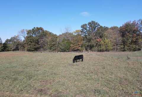 Tbd2 18.7 Acres NE 450, Osceola, MO 64776