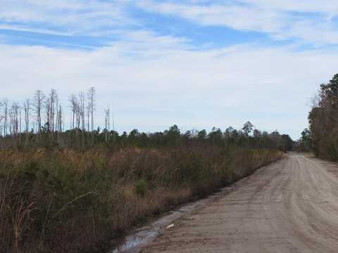 40.6 Ac West Street, WAYCROSS, GA 31503