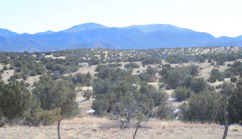 105 Acres, Sandia Park, NM 87047