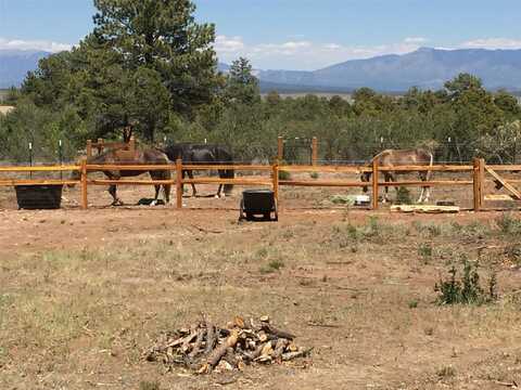 Tbd palomar and gavilan, Tres Piedras, NM 87556