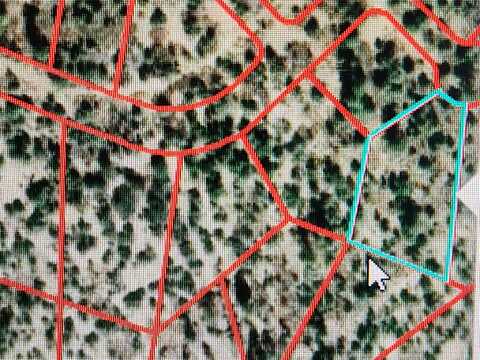 Block 23 Lot 13 Tzama Division, Tierra Amarilla, NM 87575