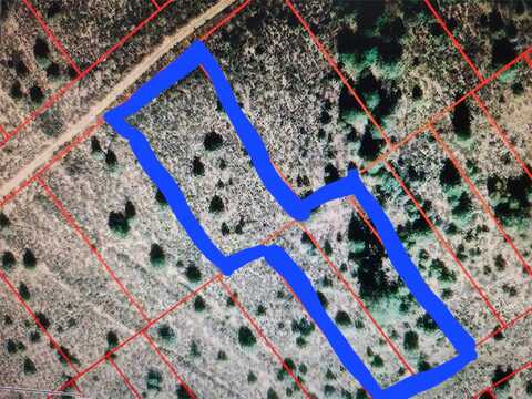 Tbd U1 B 6 L 5 S & 6n Chama River Estates, Tierra Amarilla, NM 87575