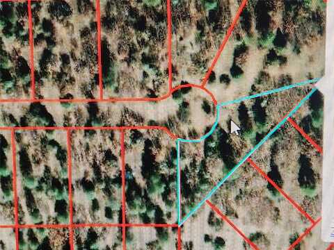 Block 30 Lot 19 Tzama Division, Tierra Amarilla, NM 87575