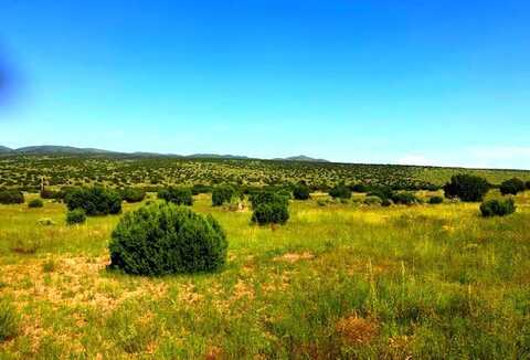 Lot 187 Campfire, Magdelena, NM 87825