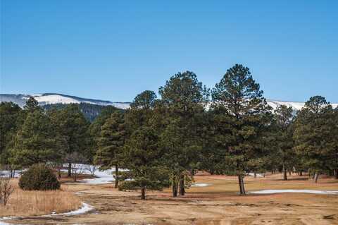 Lot 20 Avenida Securidad, Rociada, NM 87742