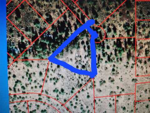 Block 11 Lot 7 Tzama Division, Tierra Amarilla, NM 87575