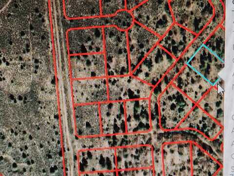 Block 16 Lot 22 Tzama Division, Tierra Amarilla, NM 87575