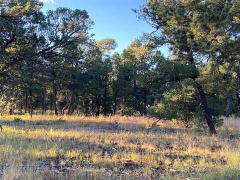 47 Silver Feather Trail, Pecos, NM 87552