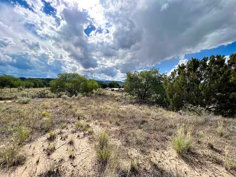 Vicinity County Rd 142, Medanales, NM 87548