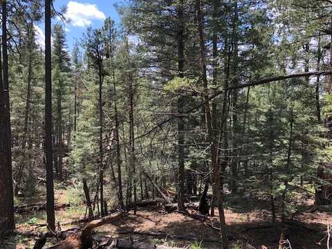 1 Acre Sawyer Mesa Road, Pecos, NM 87551