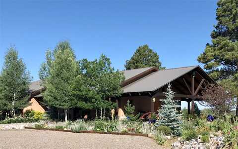 93b County Road 342, Chama, NM 87520