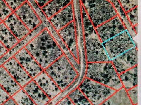 Block 21 Lot 3 Tzama Division, Tierra Amarilla, NM 87575