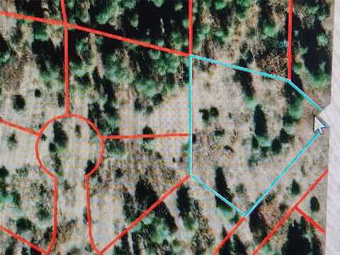 Block 36 Lot 26 Tzama Division, Tierra Amarilla, NM 87575