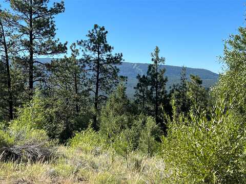 0 Badger Park 5 Ticonderoga, Chama, NM 87520