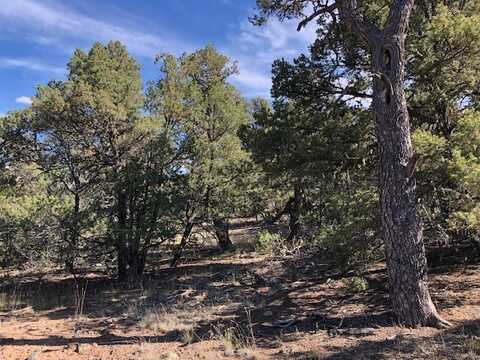 0.24 Acre Portion of Lot 70, Tres Piedras, NM 87577