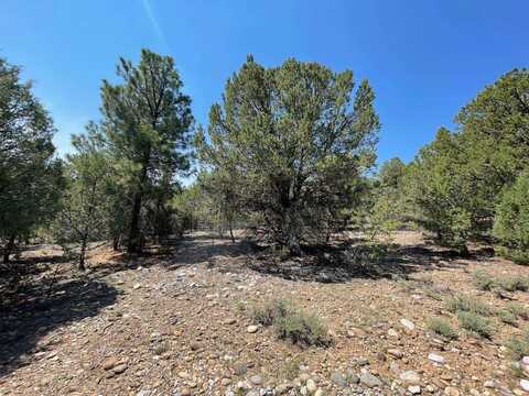 Lot 7-b3 UNIT 1, Tierra Amarilla, NM 87575