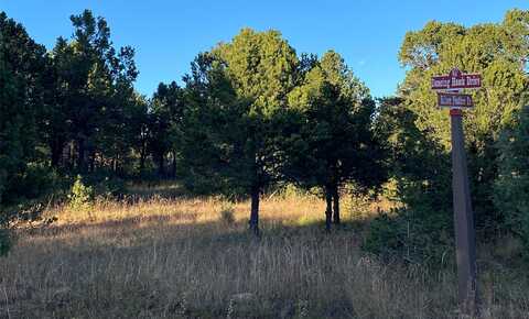 73 Silver Feather Trail, Pecos, NM 87552