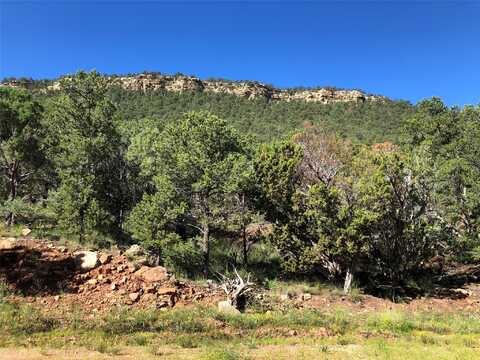 48 Cicuye Rd, Pecos, NM 87535