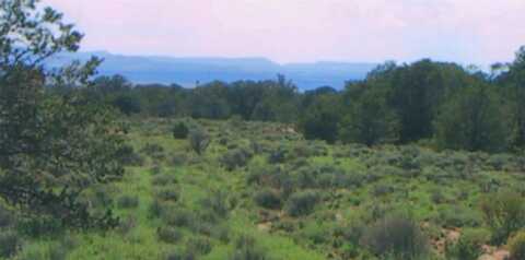 Tract 23 Choctaw, Pie Town, NM 87827