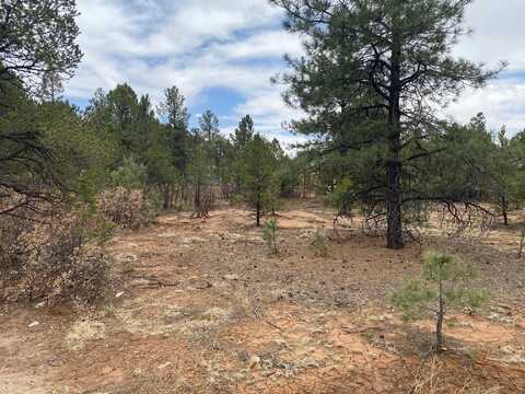 8 Los Nidos, Pecos, NM 87552