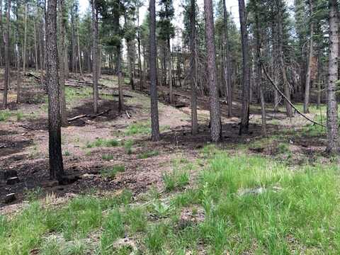 Lot 101 Camino Facil, Rociada, NM 87442