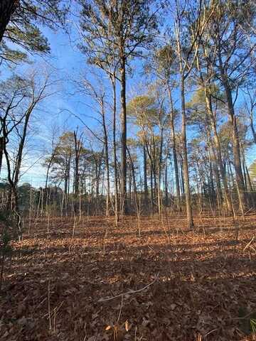 lot 11 BARNES CIR, PARKSLEY, VA 23421