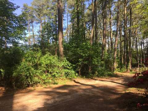 Lot 19 FOLLY CREEK CLUB LN, ACCOMAC, VA 23301