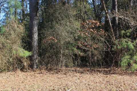 Lot 20 SANDPIPER LANE, ATLANTIC, VA 23303