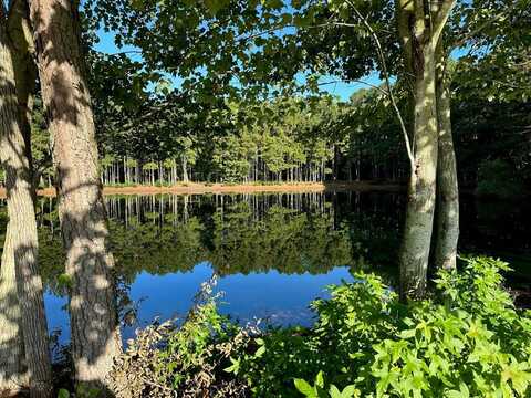 Lot B1&C CLAM COURT, BELLE HAVEN, VA 23306