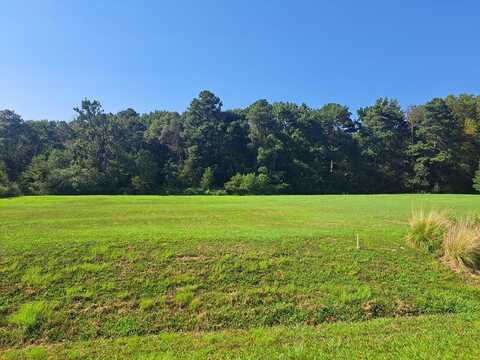 Lot 29 WHITE TAIL LANE, MELFA, VA 23410