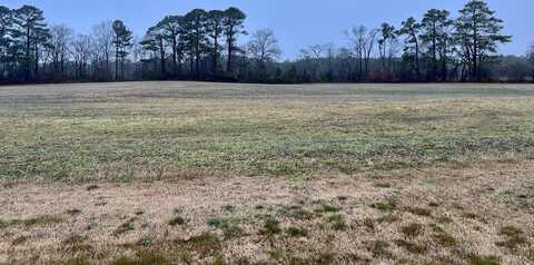 Lot 5 WATERSIDE DR, NEW CHURCH, VA 23415