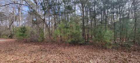 Lot 12 WILSONIA SHORES DR, MACHIPONGO, VA 23405