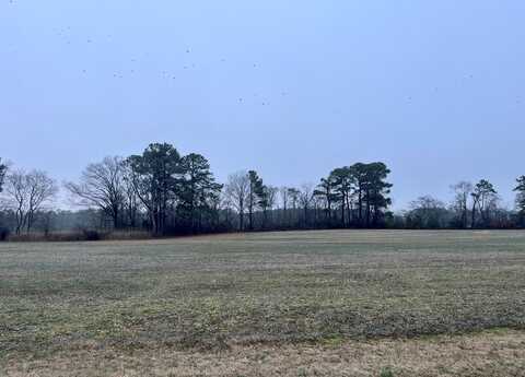 Lot 4 WATERSIDE DR, NEW CHURCH, VA 23415