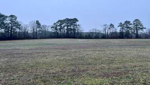 Lot 10 WATERSIDE DR, NEW CHURCH, VA 23415